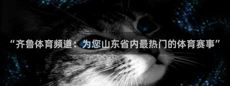 “齐鲁体育频道：为您山东省内最热门的体育赛事”