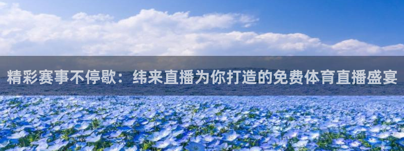 精彩赛事不停歇：纬来直播为你打造的免费体育直播盛宴