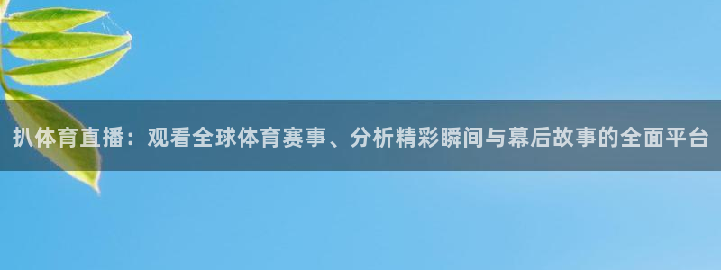 扒体育直播：观看全球体育赛事、分析精彩瞬间与幕后故事的全面平台