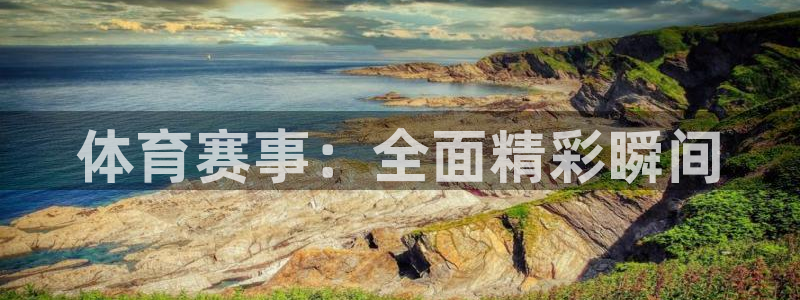 体育赛事：全面精彩瞬间