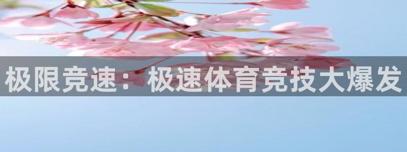 极限竞速：极速体育竞技大爆发