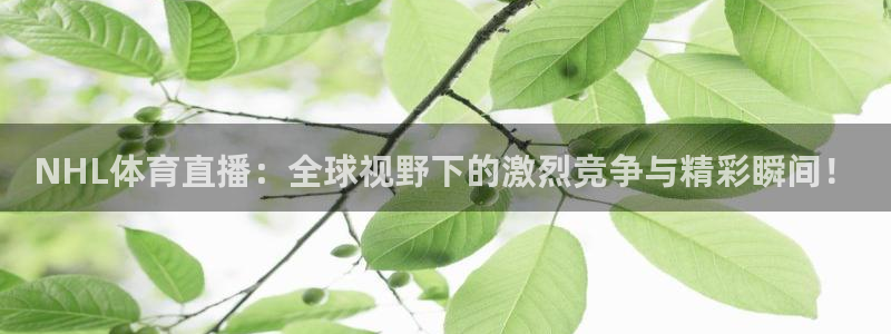 NHL体育直播：全球视野下的激烈竞争与精彩瞬间！