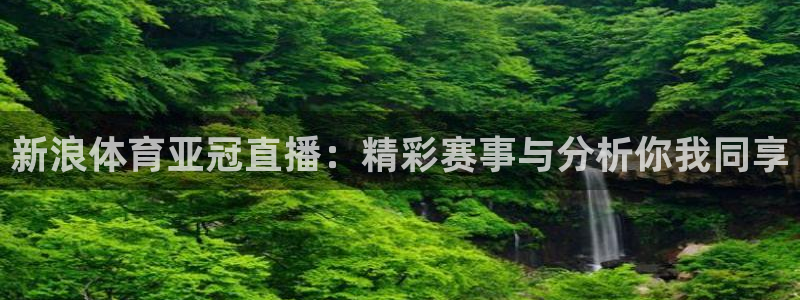 新浪体育亚冠直播：精彩赛事与分析你我同享