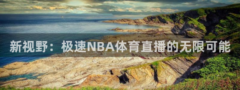 新视野：极速NBA体育直播的无限可能