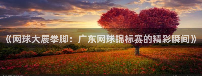 《网球大展拳脚：广东网球锦标赛的精彩瞬间》