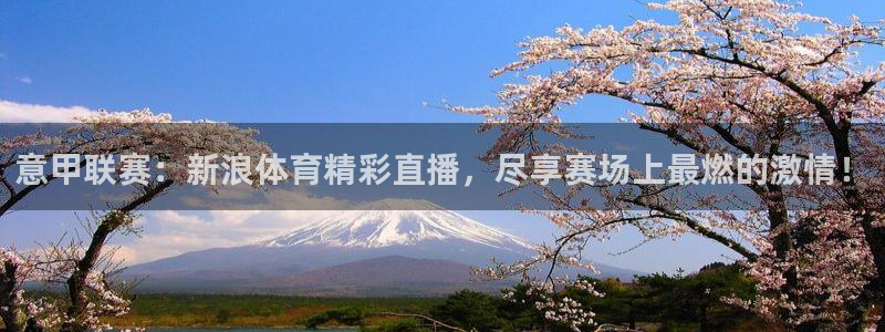 意甲联赛：新浪体育精彩直播，尽享赛场上最燃的激情！