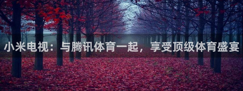 小米电视：与腾讯体育一起，享受顶级体育盛宴