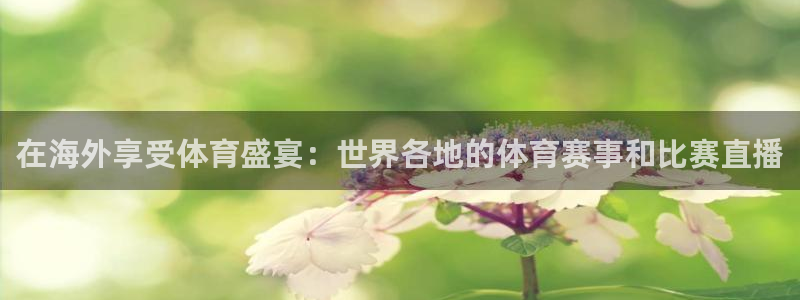 在海外享受体育盛宴：世界各地的体育赛事和比赛直播