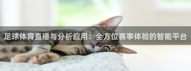 足球体育直播与分析应用：全方位赛事体验的智能平台