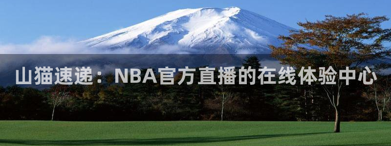 山猫速递：NBA官方直播的在线体验中心