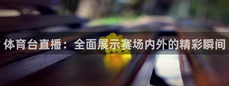 体育台直播：全面展示赛场内外的精彩瞬间