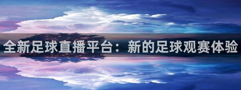 全新足球直播平台：新的足球观赛体验