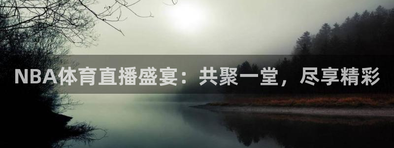NBA体育直播盛宴：共聚一堂，尽享精彩
