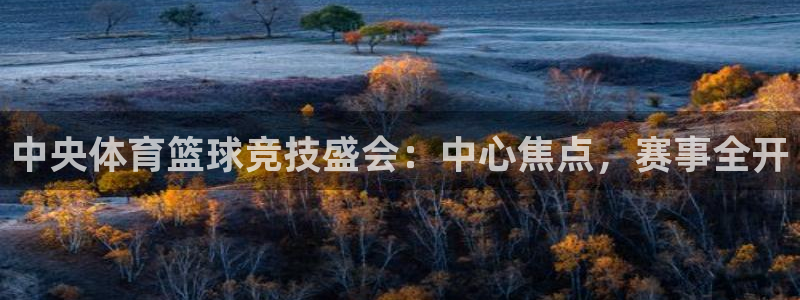 中央体育篮球竞技盛会：中心焦点，赛事全开
