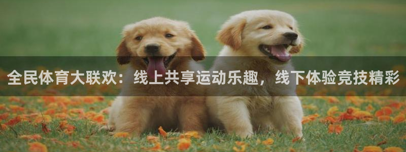 全民体育大联欢：线上共享运动乐趣，线下体验竞技精彩