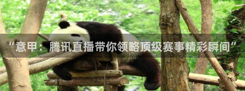 “意甲：腾讯直播带你领略顶级赛事精彩瞬间”