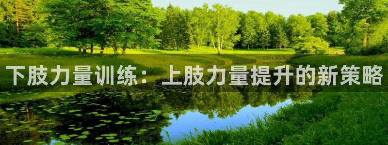 下肢力量训练：上肢力量提升的新策略