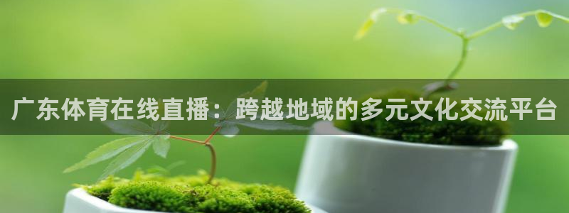 广东体育在线直播：跨越地域的多元文化交流平台