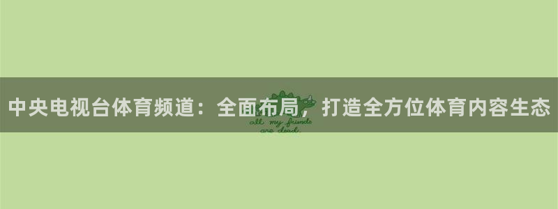 中央电视台体育频道：全面布局，打造全方位体育内容生态