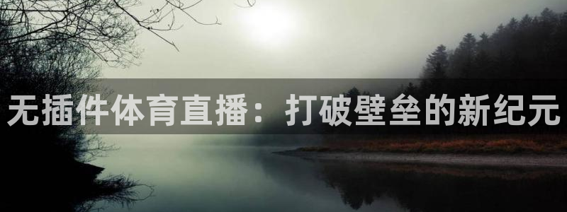 无插件体育直播：打破壁垒的新纪元