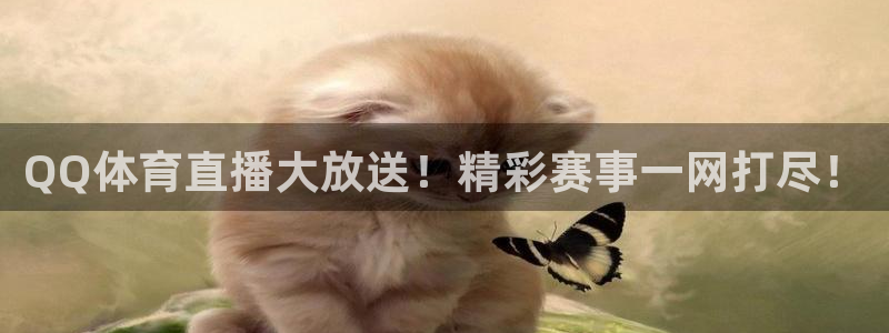 QQ体育直播大放送！精彩赛事一网打尽！