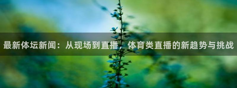 最新体坛新闻：从现场到直播，体育类直播的新趋势与挑战