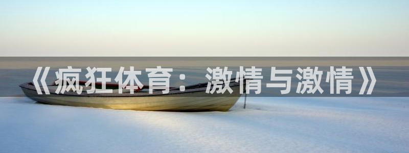 《疯狂体育：激情与激情》
