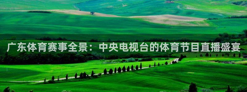 广东体育赛事全景：中央电视台的体育节目直播盛宴