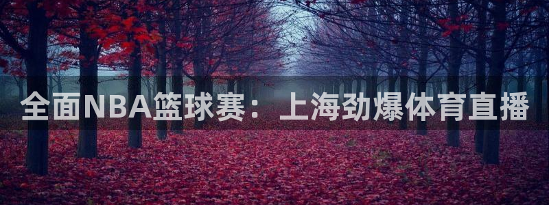 全面NBA篮球赛：上海劲爆体育直播