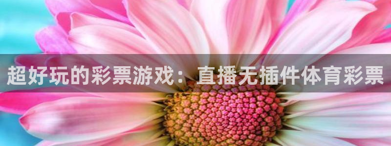超好玩的彩票游戏：直播无插件体育彩票