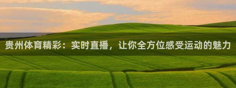 贵州体育精彩：实时直播，让你全方位感受运动的魅力
